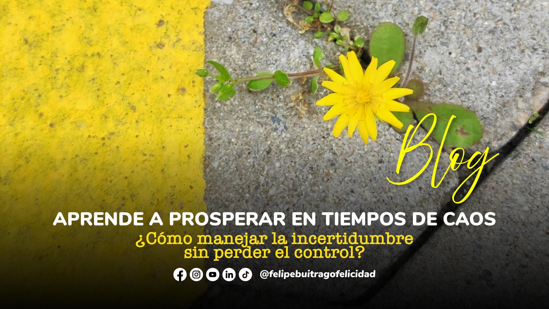 ¿Cómo manejar la incertidumbre sin perder el control? Aprende a ...